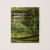 Wolkenwoud, Peace Rain Forest, Costa Rica Legpuzzel (Verticaal)