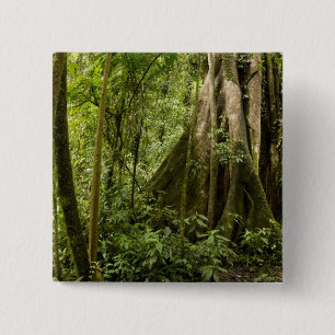 Wolkenwoud, Peace Rain Forest, Costa Rica Vierkante Button 5,1 Cm