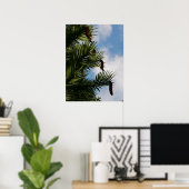 Wollemi Pine Tree Poster (Thuiskantoor)