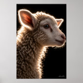 Wollen Wolk Portret Poster (Voorkant)