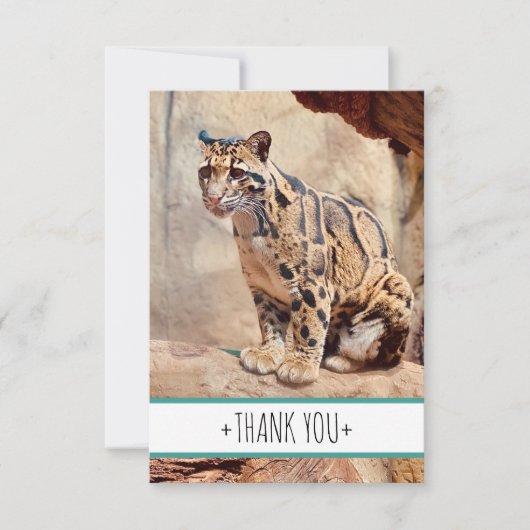 wollig afbeelding natuur wild exotisch bedankkaart (Voorkant)