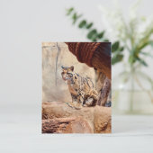 wollig afbeelding natuur wild exotisch briefkaart (Staand voorkant)