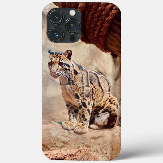wollig afbeelding natuur wild exotisch Case-Mate iPhone case (Achterkant)