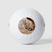 wollig afbeelding natuur wild exotisch golfballen (Voorkant)
