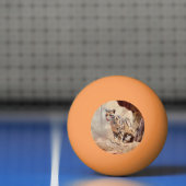 wollig afbeelding natuur wild exotisch pingpongbal (Net)