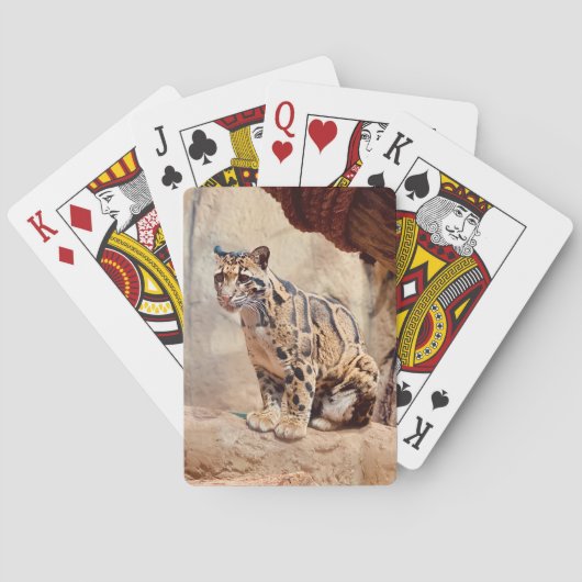 wollig afbeelding natuur wild exotisch pokerkaarten (Achterkant)