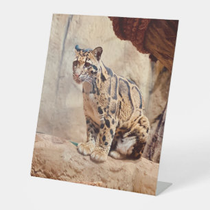 wollig afbeelding natuur wild exotisch reclamebord met voetstuk