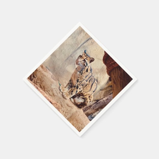 wollig afbeelding natuur wild exotisch servet (Hoek)