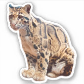 wollig afbeelding natuur wild exotisch sticker (Voorkant)