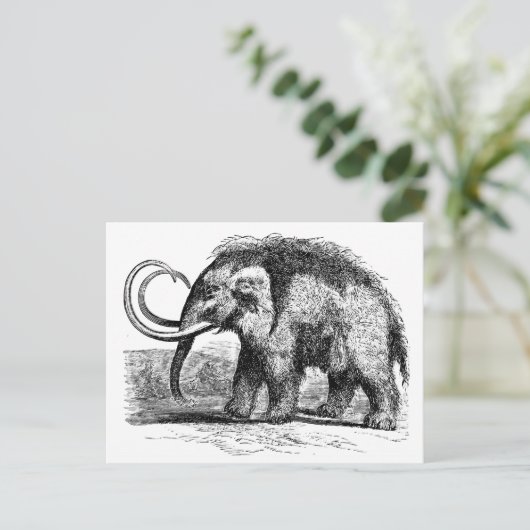 wollig mammot-2 briefkaart (Staand voorkant)