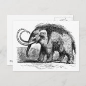 wollig mammot-2 briefkaart (Voorkant / Achterkant)