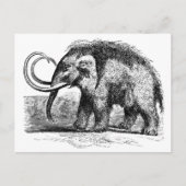 wollig mammot-2 briefkaart (Voorkant)
