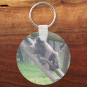 Wollige Apen Sleutelhanger, Dieren Collectie Sleutelhanger (Voorkant)