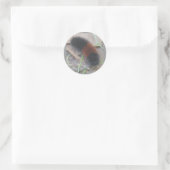 Wollige Beren Caterpillar Stickers (Tas)