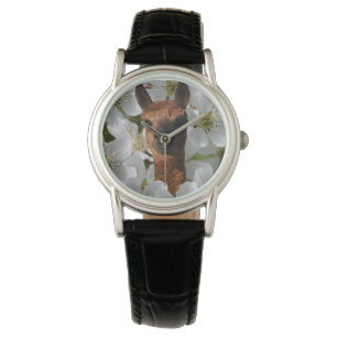 Wollige bruine jonge alpaca, horloge