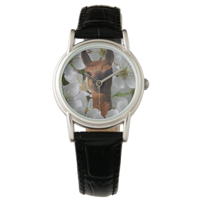 Wollige bruine jonge alpaca, horloge (Voorkant)