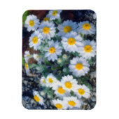 Wollige madeliefjes in het wild magneet (Verticaal)