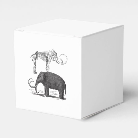 Wollige Mammoth Prehistorische Olifant en Skelet Bedankdoosjes (Voorkant Zijde)