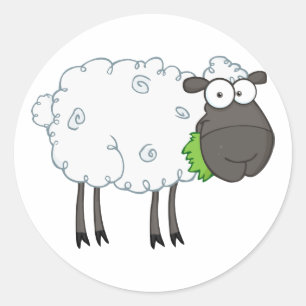 Wollige schapen Stickers