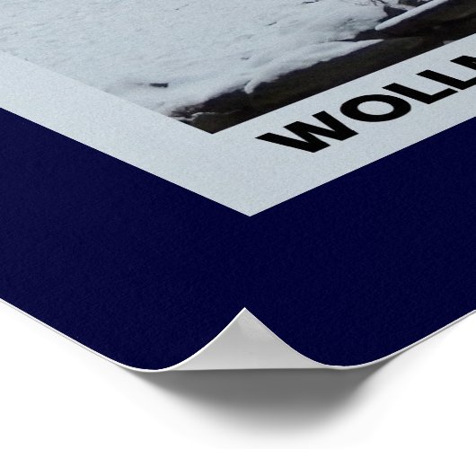 Wollman Ice Skating Rink, Central Park NYC Poster (Hoek)