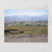 Wollo Briefkaart (Voorkant)