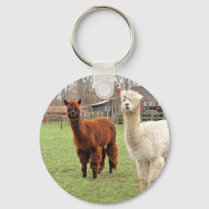 Wolly Alpacas ~ sleutelhanger