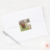 Wolly Alpacas ~ sticker (Envelop)