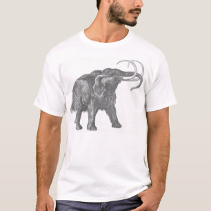 wolly mammoth bwh t-shirt