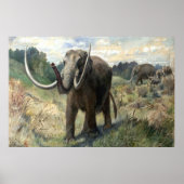 Wolly Mammoth Poster (Voorkant)