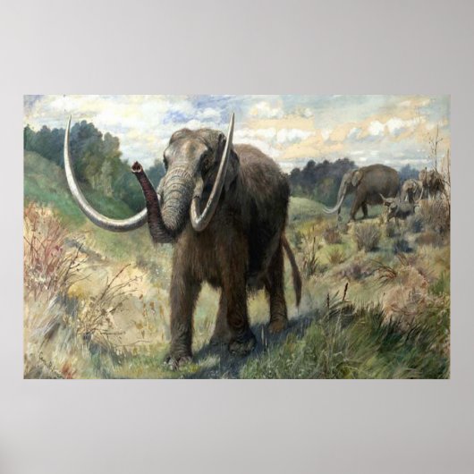 Wolly Mammoth Poster (Voorkant)