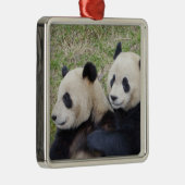 Wolong Reserve, China, Giant panda die omhelst Metalen Ornament (Rechts)