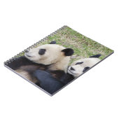 Wolong Reserve, China, Giant panda die omhelst Notitieboek (Linkerzijde)