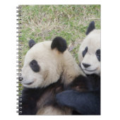 Wolong Reserve, China, Giant panda die omhelst Notitieboek (Voorkant)