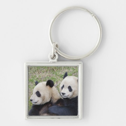 Wolong Reserve, China, Giant panda die omhelst Sleutelhanger (Voorkant)