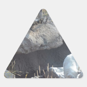 Wolven Bos Natuur Land Vrede Liefde Dier Sticker