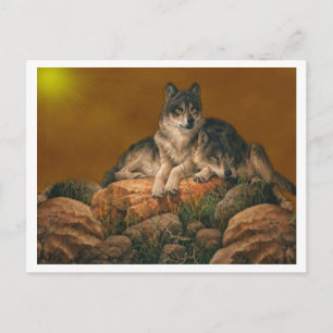 Wolven Briefkaart