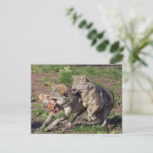 wolven briefkaart (Staand voorkant)