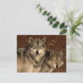 Wolven Briefkaart (Staand voorkant)