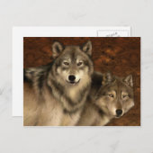 Wolven Briefkaart (Voorkant / Achterkant)