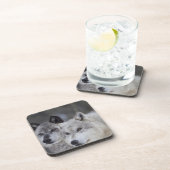 Wolven (Canus lupus) uit West-geelsteen. Dit Drankjes Onderzetter (Rechterzijde)