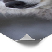 Wolven (Canus lupus) | West-geelsteen Poster (Hoek)