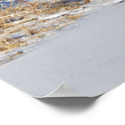 Wolven die in het sneeuwPoster lopen Poster (Hoek)