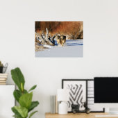 Wolven die in het sneeuwPoster lopen Poster (Thuiskantoor)