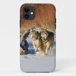 Wolven die in Sneeuwse iPhone 4-tas lopen 11 Hoesje