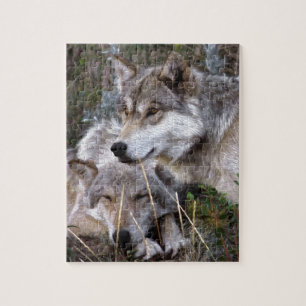 Wolven ~ Digitale oliefilter Legpuzzel