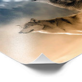 Wolven Foto Kunstprint Afdruk (Hoek)