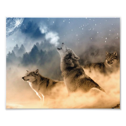 Wolven Foto Kunstprint Afdruk (Voorkant)