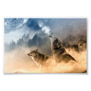 Wolven Foto Kunstprint Afdruk