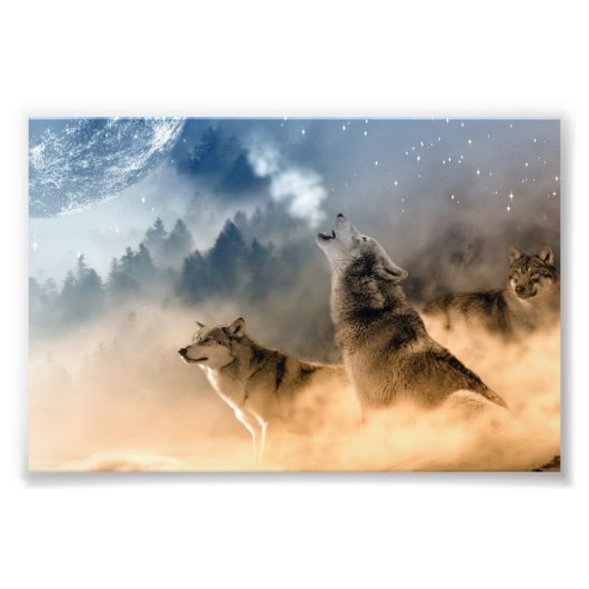 Wolven Foto Kunstprint Afdruk (Voorkant)