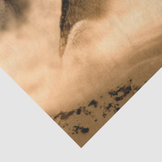 Wolven Howling bij de maan Tissuepapier (Detail)